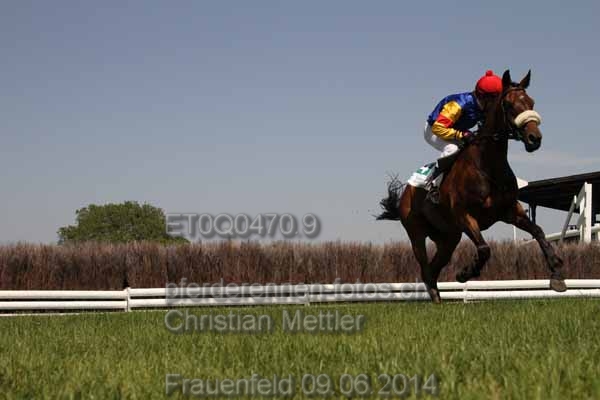 ET0Q0470.9 prot